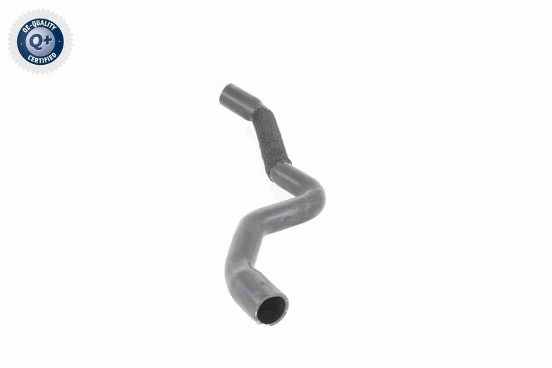 ACKOJA A32-1600 Kühlerschlauch für MAZDA