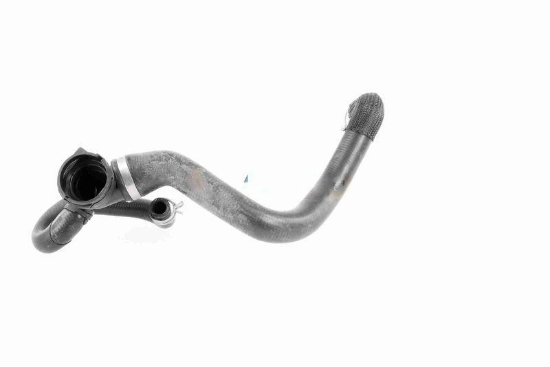 VAICO V25-1164 K&uuml;hlerschlauch f&uuml;r FORD