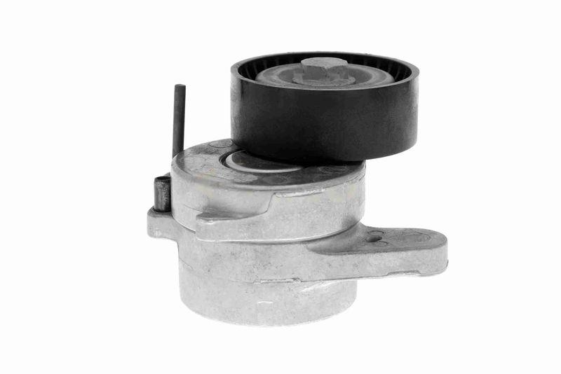 VAICO V10-3703 Riemenspanner, Keilrippenriemen Keilrippenriemen für VW
