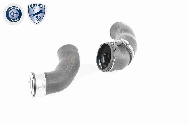 VAICO V20-2970 Ladeluftschlauch f&uuml;r BMW