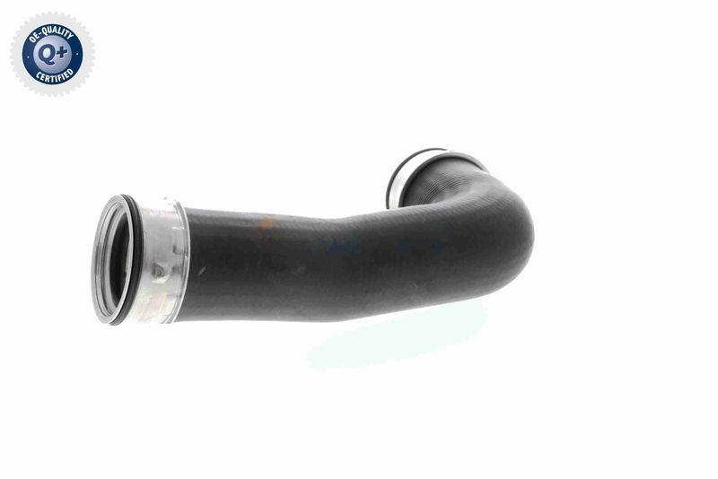 VAICO V10-2700 Ladeluftschlauch f&uuml;r VW