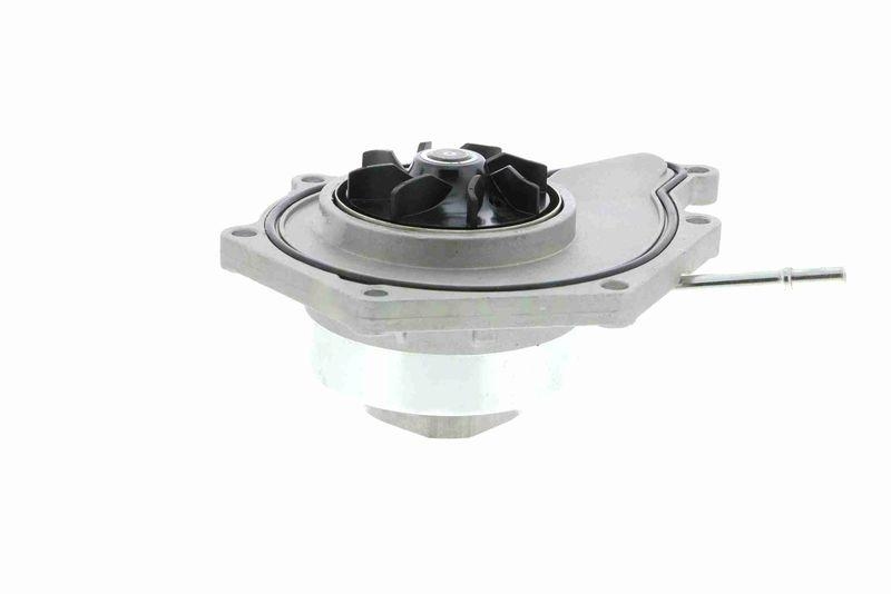VAICO V10-50090 Wasserpumpe, Motork&uuml;hlung f&uuml;r VW