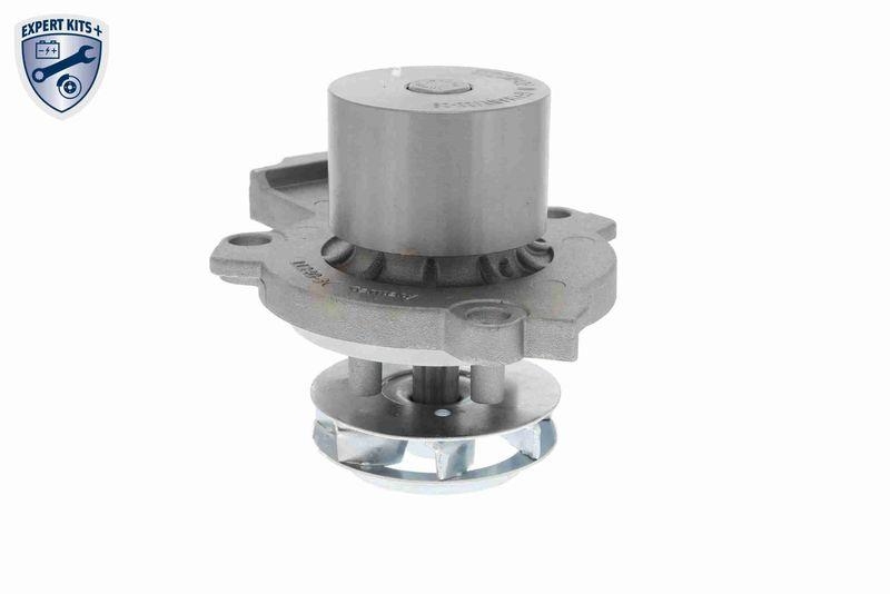 VAICO V10-50103 Wasserpumpe, Motork&uuml;hlung mit Dichtungssatz f&uuml;r VW