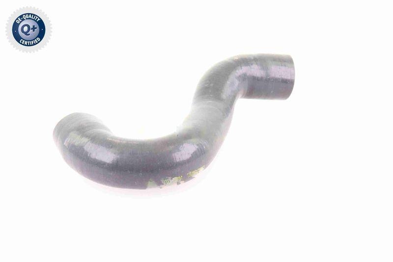 VAICO V10-3784 Ladeluftschlauch f&uuml;r VW