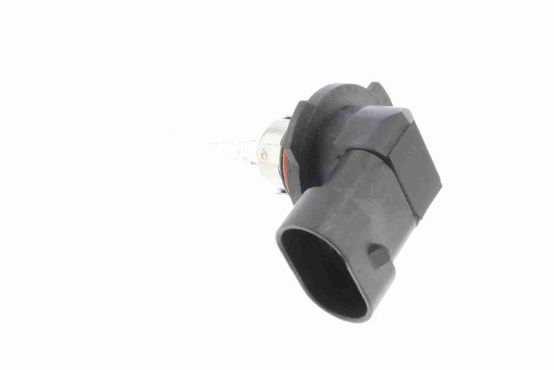 VEMO V99-84-0070 Gl&uuml;hlampe, Hauptscheinwerfer 12 V, 60 W, Lampenart: Hb3 9005(Hb3)-Hal