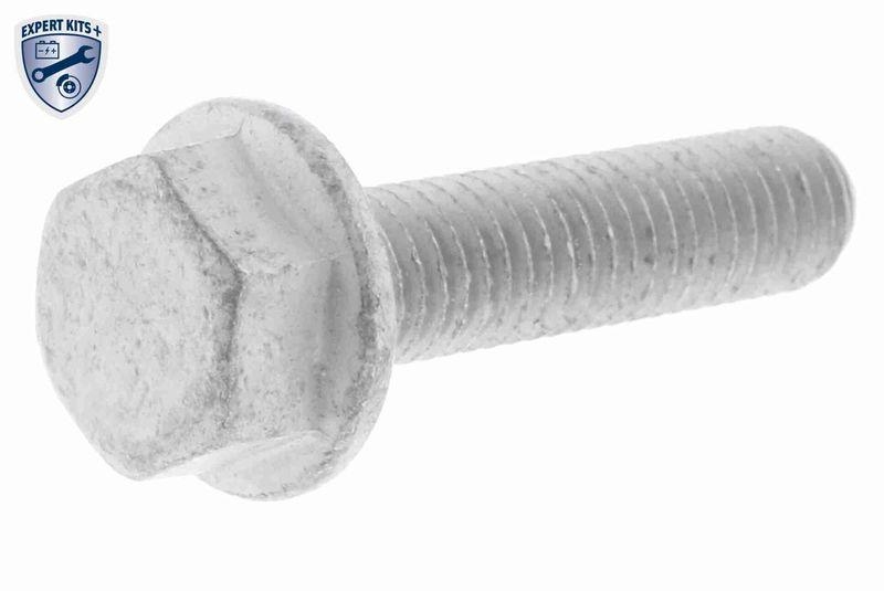 VAICO V10-50110-BEK Wasserpumpe + Zahnriemensatz 1.9 TDI für VW