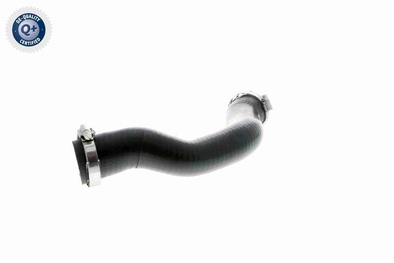 VAICO V10-3796 Ladeluftschlauch f&uuml;r VW