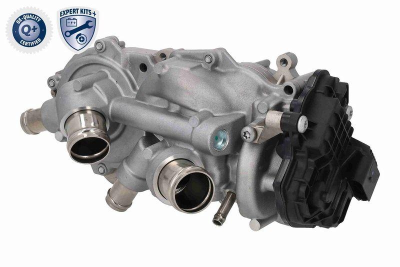 VAICO V10-50114 Wasserpumpe + Zahnriemensatz mit Dichtung, Zahnriemen und Schrauben für VW