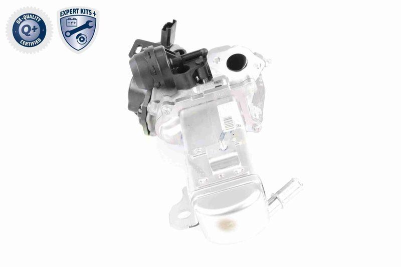 VEMO V22-63-0004 AGR-Ventil mit Dichtung, mit K&uuml;hler f&uuml;r CITRO&Euml;N