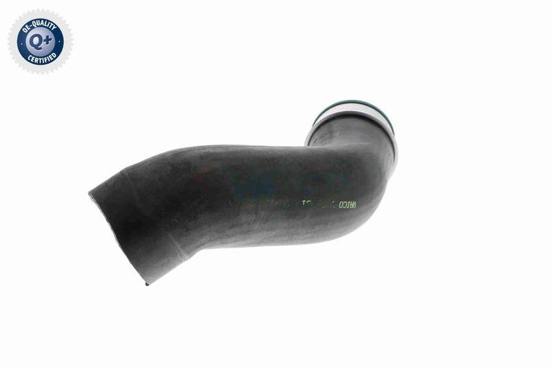 VAICO V10-3814 Ladeluftschlauch f&uuml;r VW