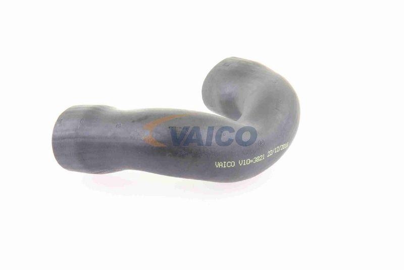 VAICO V10-3821 Ladeluftschlauch für VW