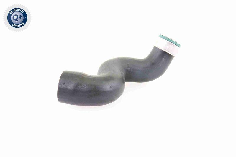 VAICO V10-3825 Ladeluftschlauch f&uuml;r VW