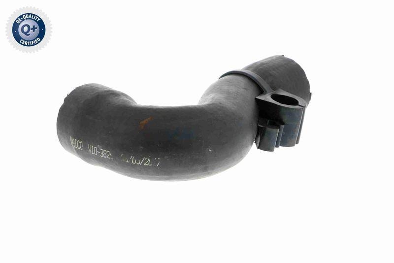 VAICO V10-3829 Ladeluftschlauch f&uuml;r VW