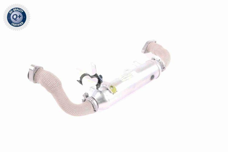 VEMO V24-63-0020 K&uuml;hler, Abgasr&uuml;ckf&uuml;hrung f&uuml;r FIAT