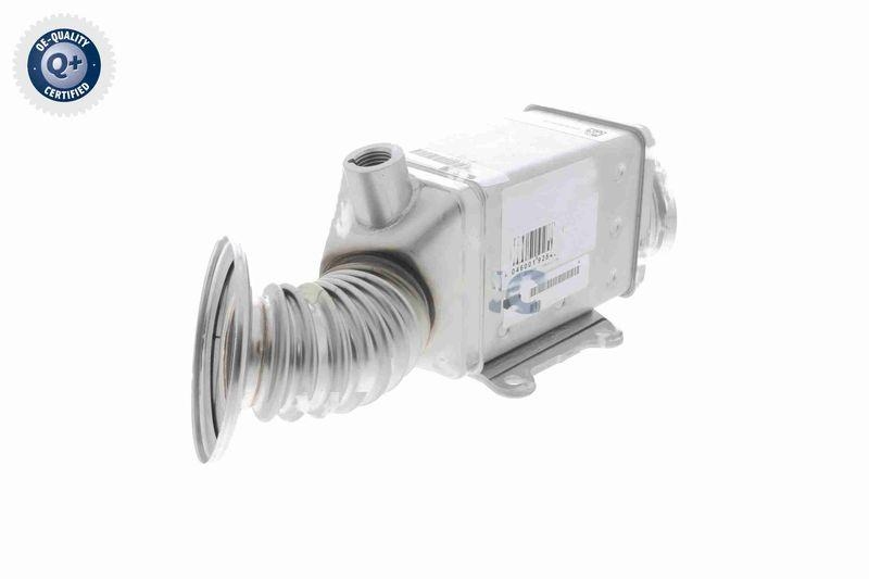 VEMO V24-63-0023 K&uuml;hler, Abgasr&uuml;ckf&uuml;hrung f&uuml;r FIAT