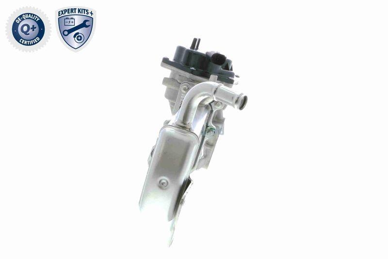 VEMO V10-63-0047 AGR-Ventil mit K&uuml;hler mit Dichtung f&uuml;r VW