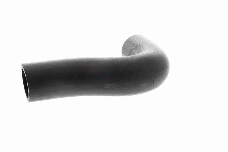 ACKOJA A51-1602 Kühlerschlauch für CHEVROLET