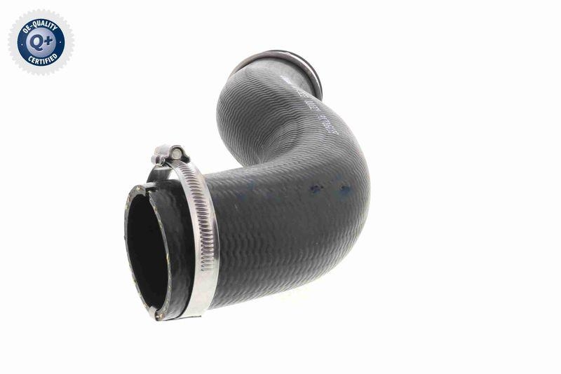 VAICO V10-2833 Ladeluftschlauch f&uuml;r VW