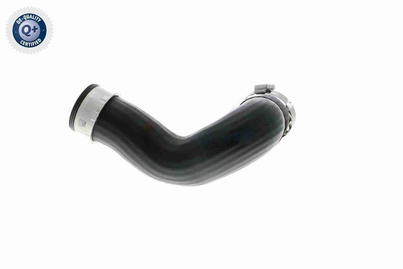 VAICO V10-2837 Ladeluftschlauch f&uuml;r VW