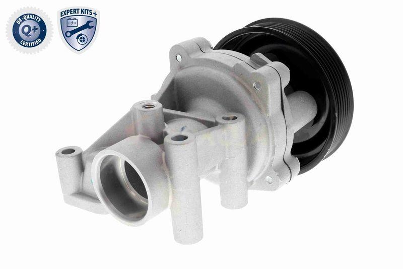 ACKOJA A53-0704 Wasserpumpe, Motorkühlung mit Dichtung für KIA