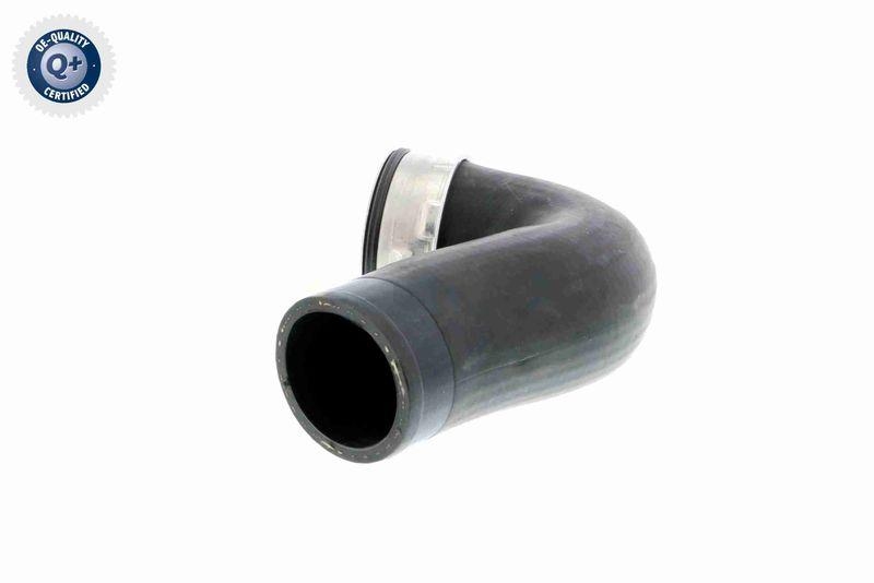 VAICO V10-2864 Ladeluftschlauch f&uuml;r VW