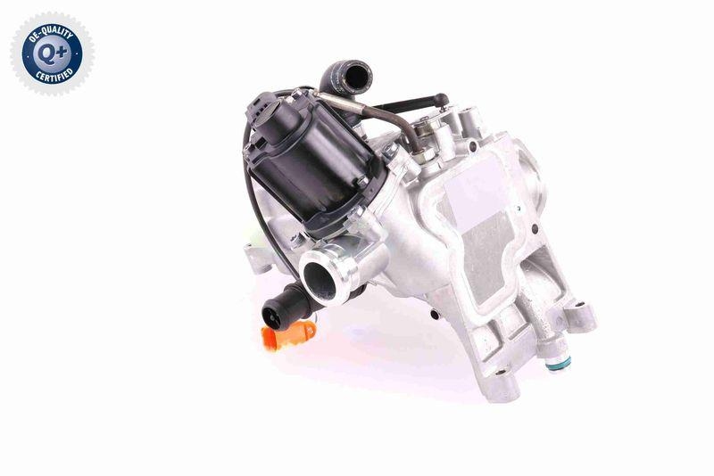 VEMO V10-63-0140 K&uuml;hler, Abgasr&uuml;ckf&uuml;hrung elektrisch f&uuml;r VW