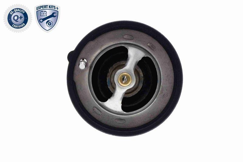 ACKOJA A32-99-1705 Thermostat, Kühlmittel 82 °C mit Dichtung für MAZDA