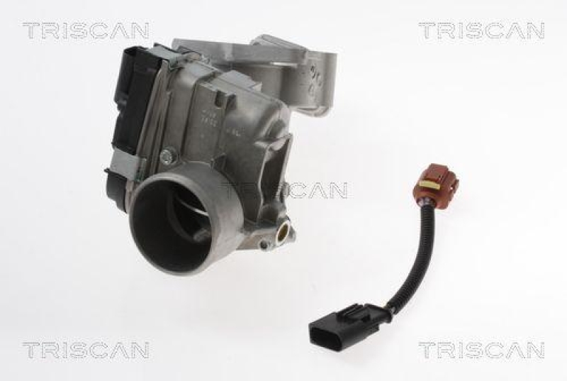 TRISCAN 8813 15100 Agr Ventil f&uuml;r Fiat/Iveco