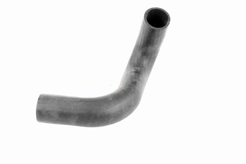 VAICO V24-0737 Ladeluftschlauch für FIAT