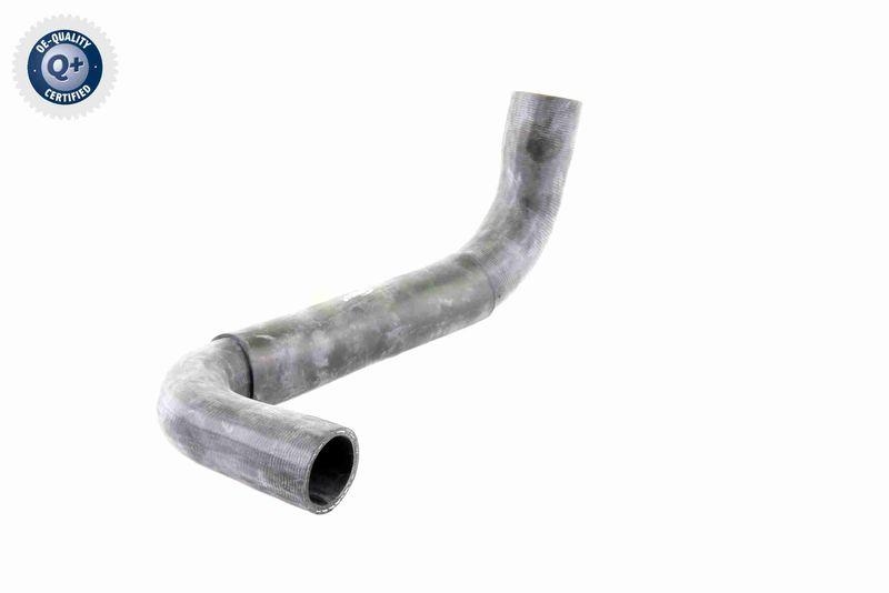 VAICO V30-0718 K&uuml;hlerschlauch K&uuml;hler, Anschlu&szlig; unten f&uuml;r MERCEDES-BENZ