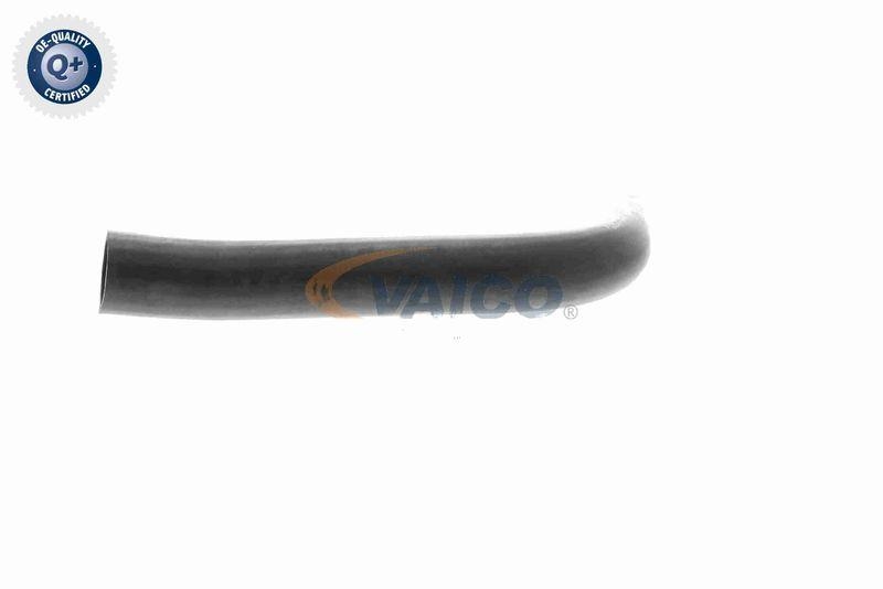 VAICO V30-0729 K&uuml;hlerschlauch K&uuml;hler, Anschlu&szlig; unten f&uuml;r MERCEDES-BENZ