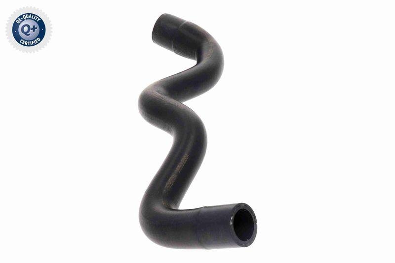 VAICO V25-1502 K&uuml;hlerschlauch f&uuml;r FORD
