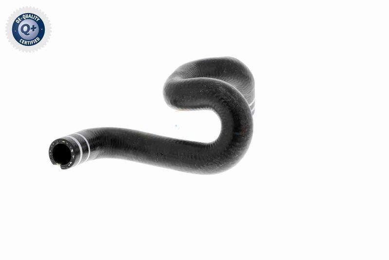VAICO V24-0806 K&uuml;hlerschlauch f&uuml;r FIAT