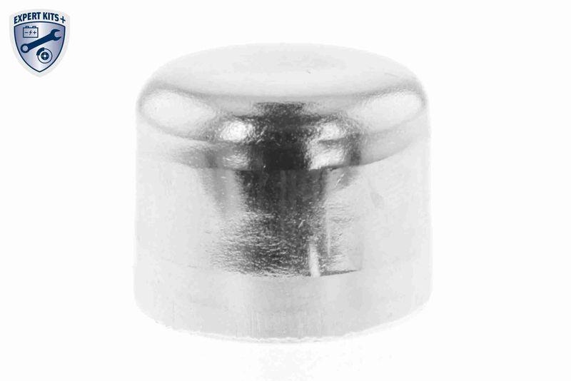 VAICO V46-50024-BEK Wasserpumpe + Zahnriemensatz mit Anbaumaterial für RENAULT