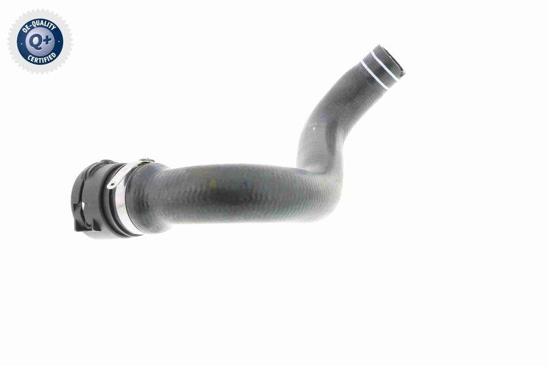 VAICO V24-0822 K&uuml;hlerschlauch f&uuml;r FIAT