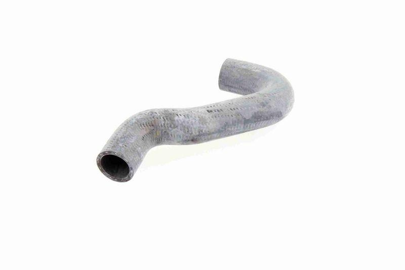 VAICO V10-0066 K&uuml;hlerschlauch K&uuml;hler, Anschlu&szlig; unten f&uuml;r VW