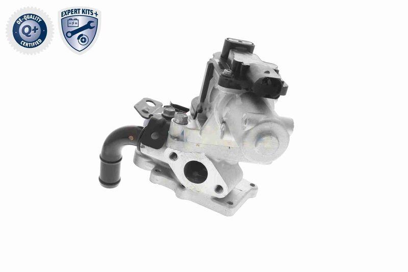 ACKOJA A52-63-0013 AGR-Ventil mit Zwei Dichtungen für HYUNDAI