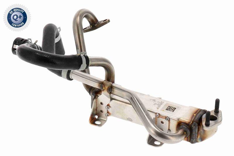 ACKOJA A52-63-0040 K&uuml;hler, Abgasr&uuml;ckf&uuml;hrung f&uuml;r HYundAI