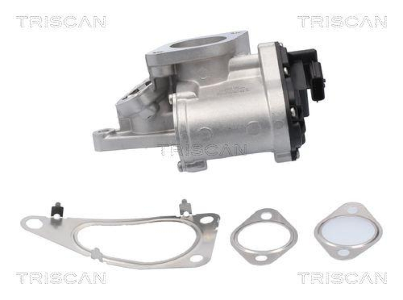 TRISCAN 8813 25201 Agr Ventil f&uuml;r Renault