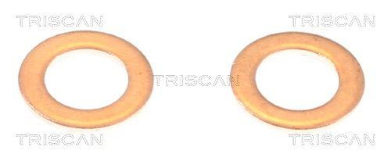 TRISCAN 8150 431021 Bremsschlauch Vorne f&uuml;r Hyundai, Kia