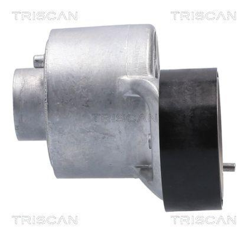 TRISCAN 8641 103060 Spannrolle