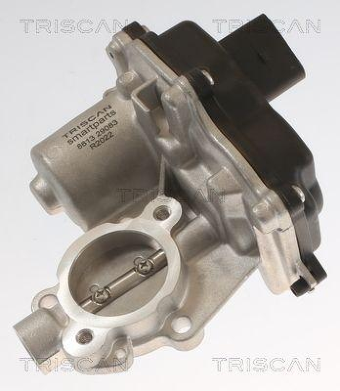 TRISCAN 8813 42003 Agr Ventil f&uuml;r Mitsubishi