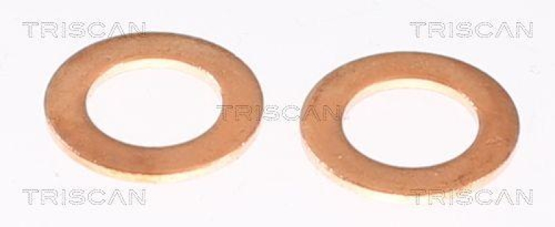 TRISCAN 8150 10145 Bremsschlauch Vorne f&uuml;r Volkswagen