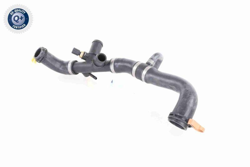 VAICO V41-0037 K&uuml;hlerschlauch f&uuml;r JAGUAR