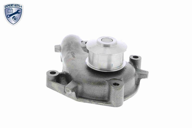 VAICO V25-50021 Wasserpumpe, Motork&uuml;hlung mit Dichtungssatz f&uuml;r FORD
