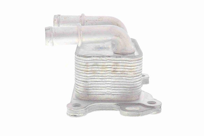 ACKOJA A38-60-0004 Ölkühler, Motoröl für NISSAN