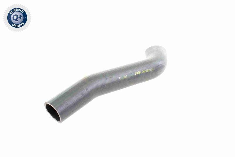 VAICO V30-1968 K&uuml;hlerschlauch K&uuml;hler, Anschlu&szlig; unten f&uuml;r MERCEDES-BENZ