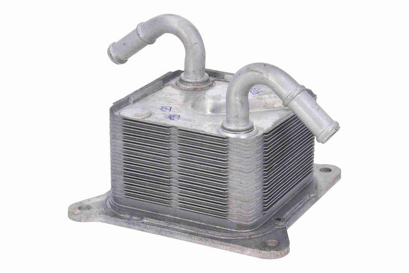 ACKOJA A38-60-0009 Ölkühler, Automatikgetriebe für NISSAN