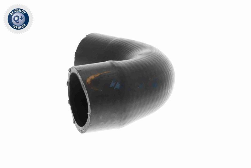 VAICO V20-3729 K&uuml;hlerschlauch f&uuml;r BMW