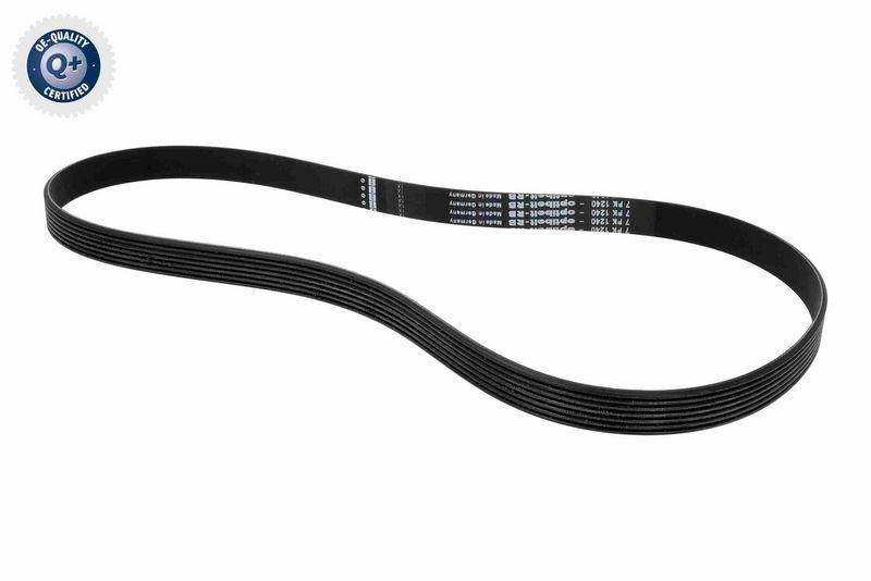 VAICO V24-1209 Keilrippenriemen für FIAT
